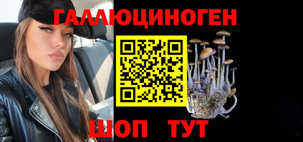 Псилоцибиновые грибы Psilocybe  Вход с VPN  Заречный 
